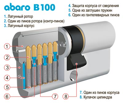 Будова личинки Abaro B100